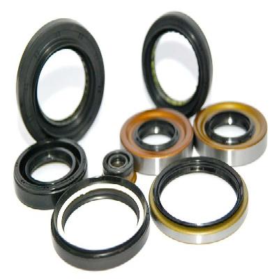 Industrial Seal