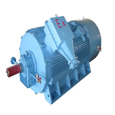 Flameproof Motor