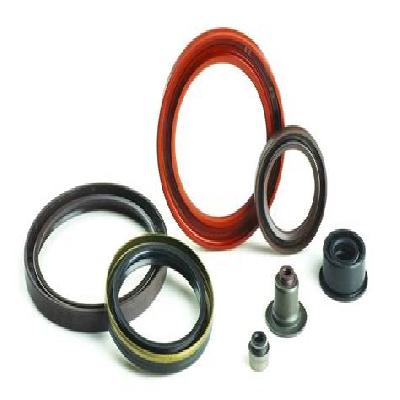 Oil Seals