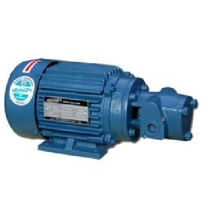 Monoblock Rotary Gear Pump