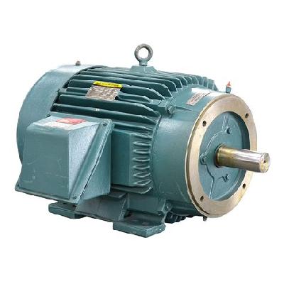 3 HP Three Phase Electric Motor