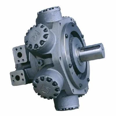 Hydraulic Motor Repairing Services