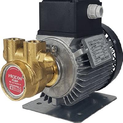 Procon Rotary Vane Pump