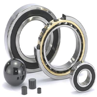 Bearing Pump