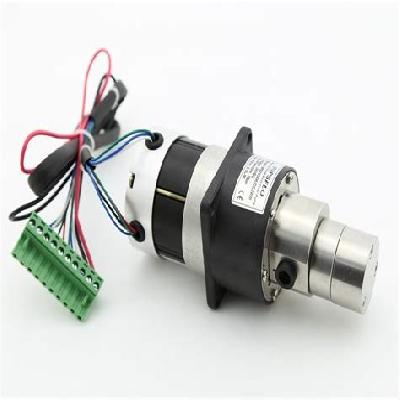 Mini Gears Pump