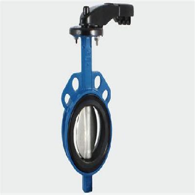 Butterfly Valve