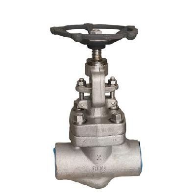 Forged Globe Valve