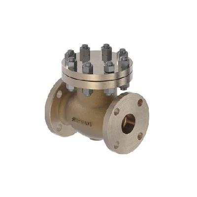 Lift Check Valve