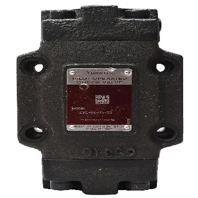 Cpg-06-30-20 Check Valve