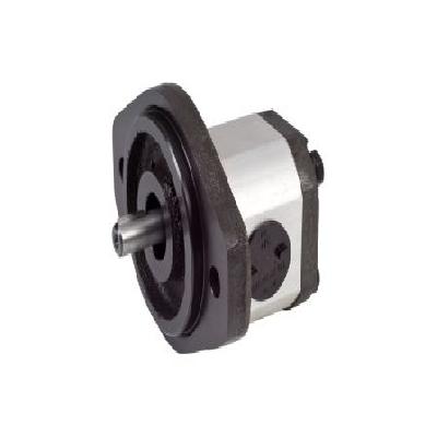 PG1-093-P-B-R-1080 Gear Pump (YUKEN)