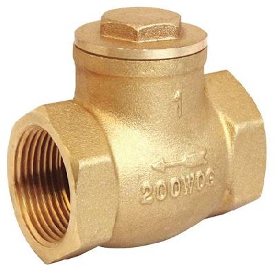 S Check Valve