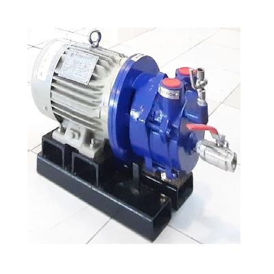 Monoblock Liquid Vacuum Pumps