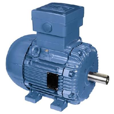 Explosion Proof Atex Certified Motor