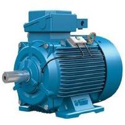 Hoyer Electrical Motor Impoter In India