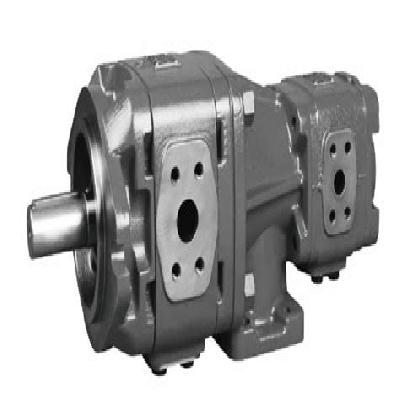 Double Internal Gear Pump