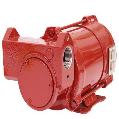 Ex Proof DC Powered Pump