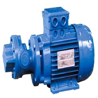 GVR ITALY GEAR PUMP