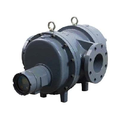 Roots Flow Meter