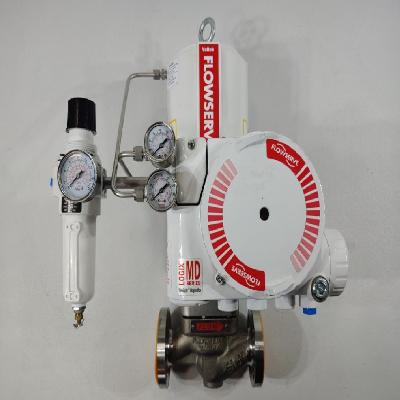 Samin Make Control Valve