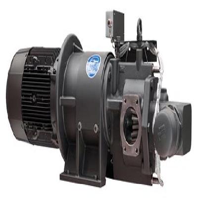 Bitumen Pump