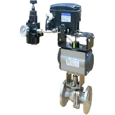 Positioner Control Valve