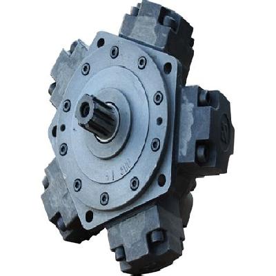 Radial Piston Hydraulic Motor
