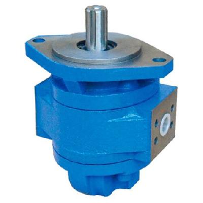 Cast Iron Body Hydraulic Gear Pump