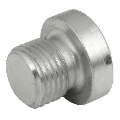 Socket Head Plug