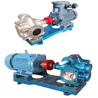 Paint Gear Pump