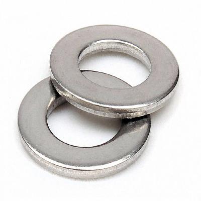 SS Plain Washer