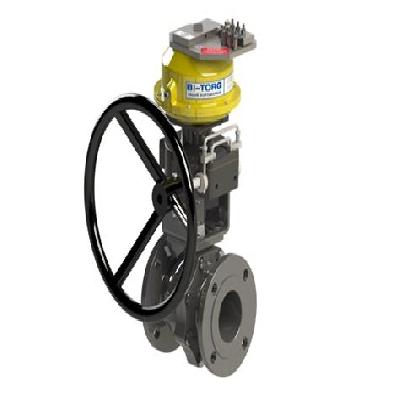 Fire Safe Shut Off Valve Assembly