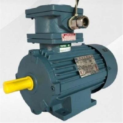 Flame Proof FLP Motors