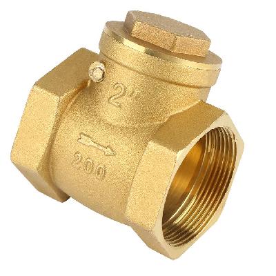 Non Return Check Control Valve