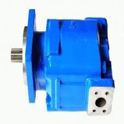 Cast Iron Bushing Pumps - Model 315