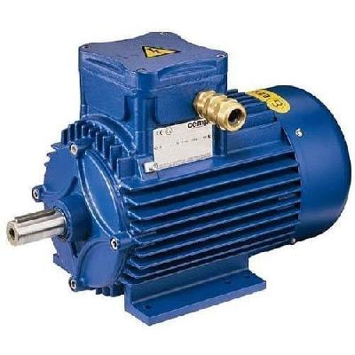 BR BS Series Motor