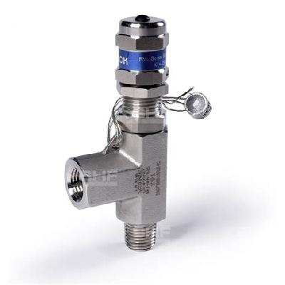 Pressure Relief Valve