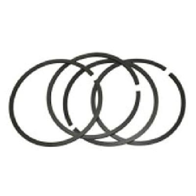 Graphite Filled PTFE Piston Rings