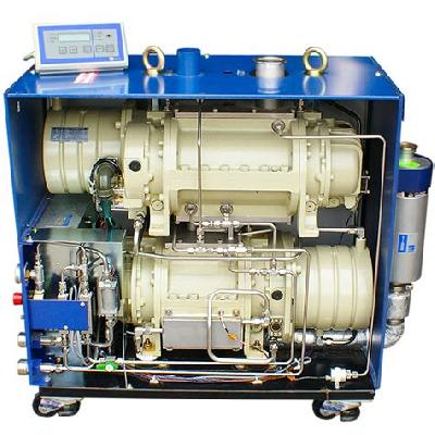 Dry Vacuum Pump