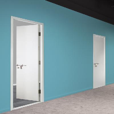 SHAKTI HORMANN CLEAN ROOM DOOR