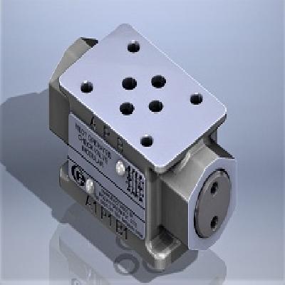 Polyhydron Check Valve