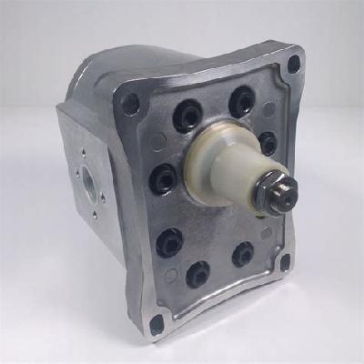 2 HP Marzocchi Hydraulic Gear Pump