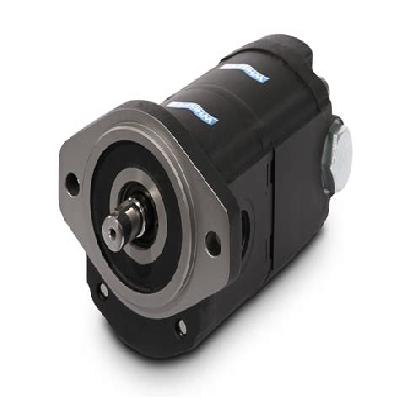 Casappa Gear Pump