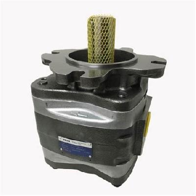 Voith Hydraulic Dual Gear Pump