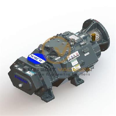 Everest Dry Screw Vacuum Pump
