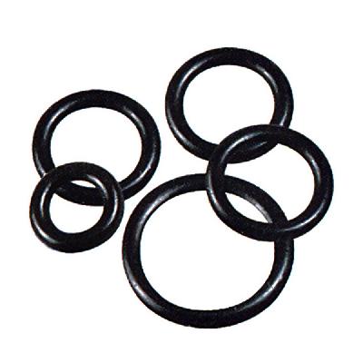 Rubber O Ring