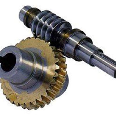 Worm Gear