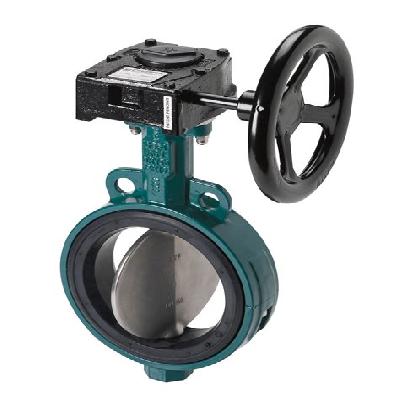 Butterfly Valve
