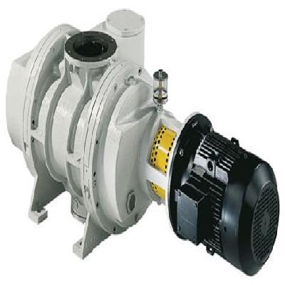 Oktalinetm Roots Pumps