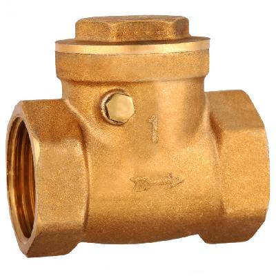Check Valve