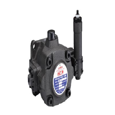 variable displacement vane pump